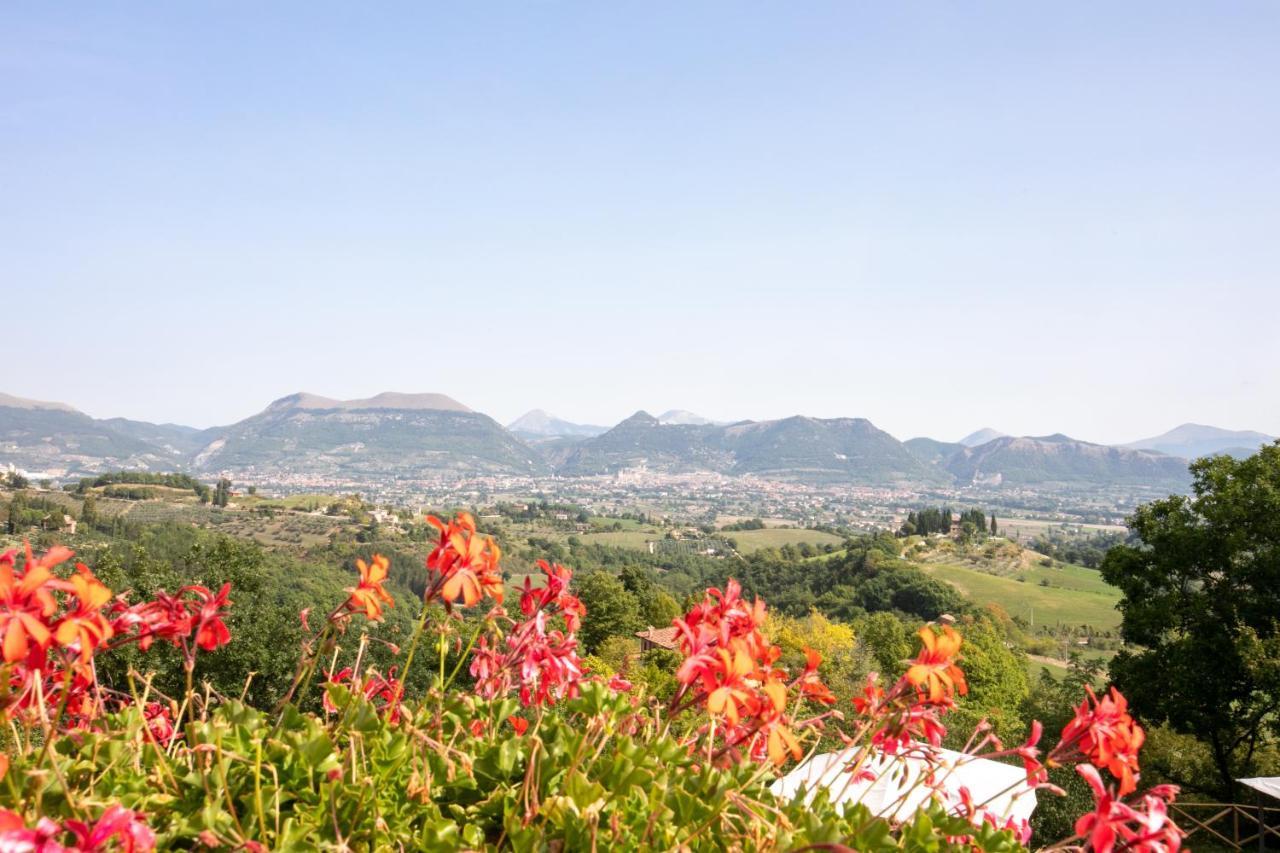 Agriturismo Casalta Губбіо Екстер'єр фото